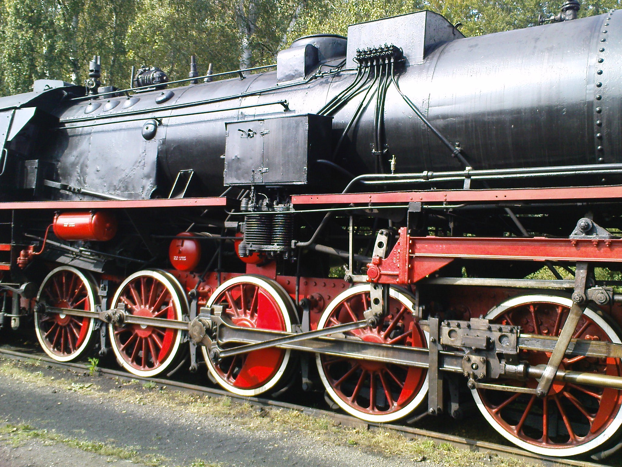 DSC04224.JPG